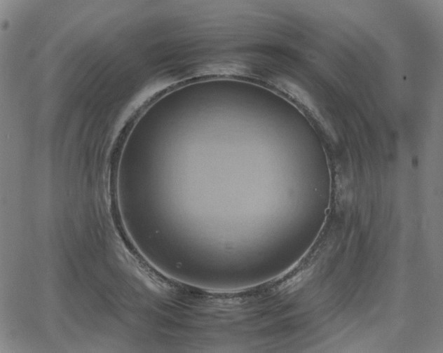 X0000064041035200601301143