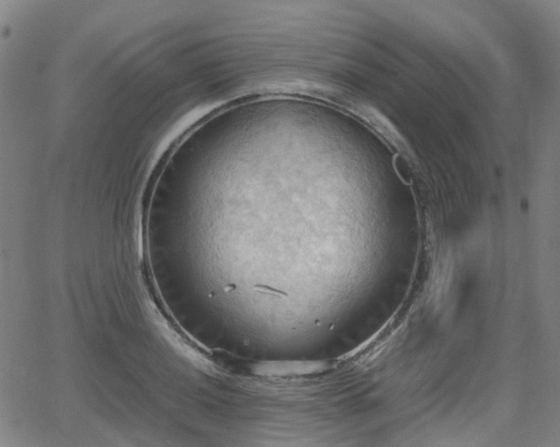 X0000064041036200601301143