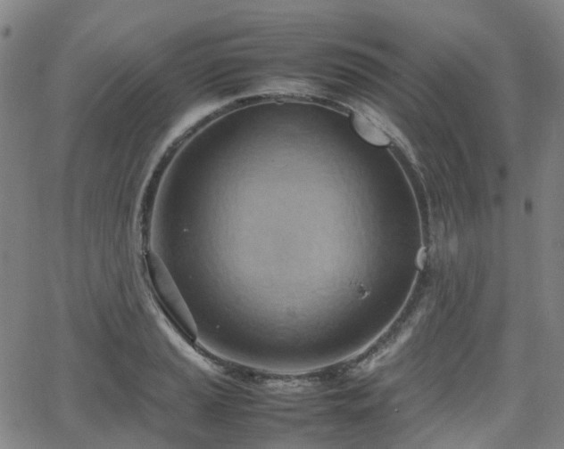 X0000064041037200601301143