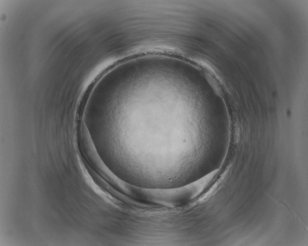 X0000064041038200601301143