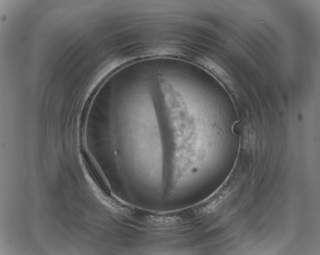 X0000064041039200601301143