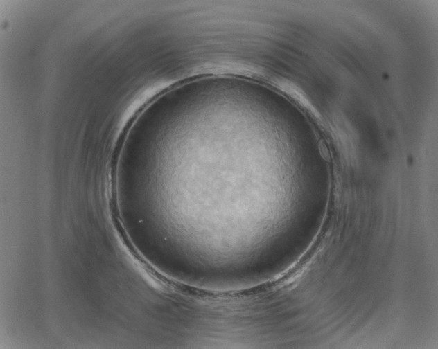 X0000064041040200601301143