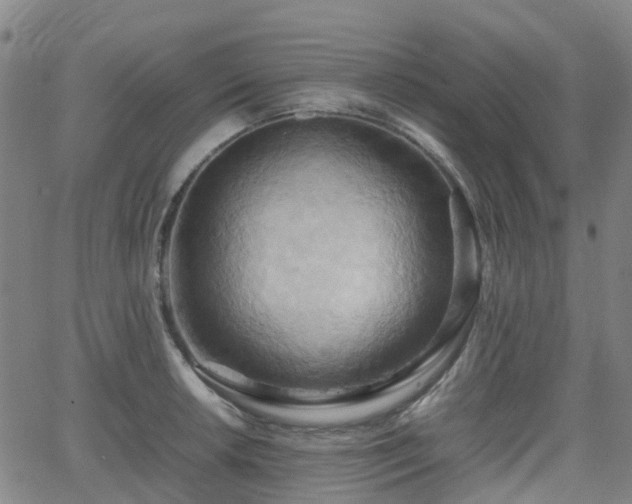 X0000064041042200601301143