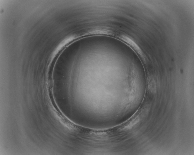 X0000064041043200601301143