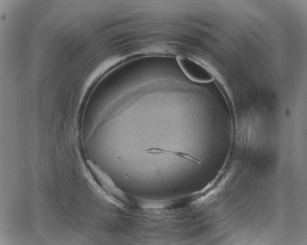 X0000064041045200601301143