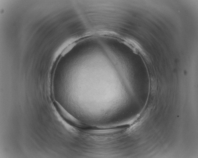 X0000064041046200601301143