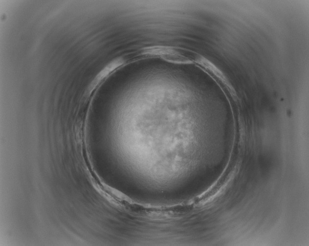 X0000064041049200601301144