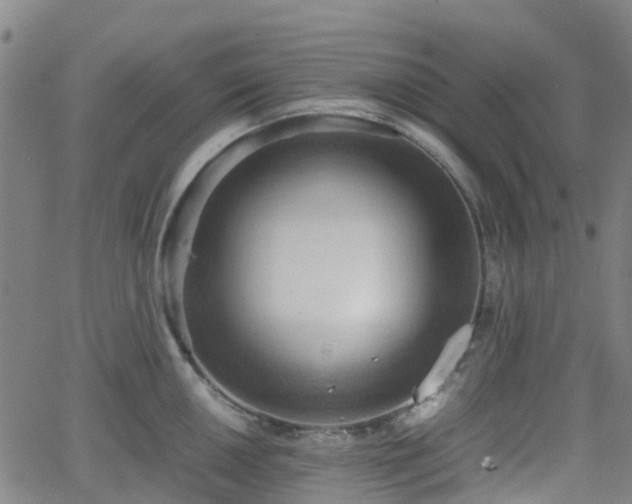 X0000064041050200601301144