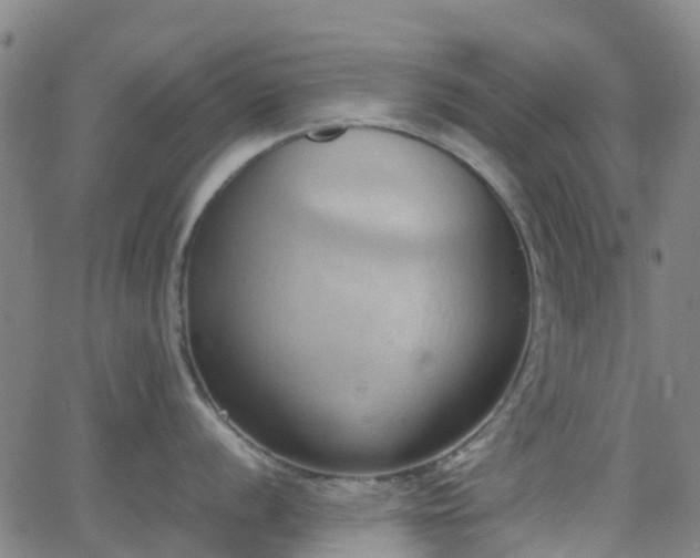 X0000064041056200601301144