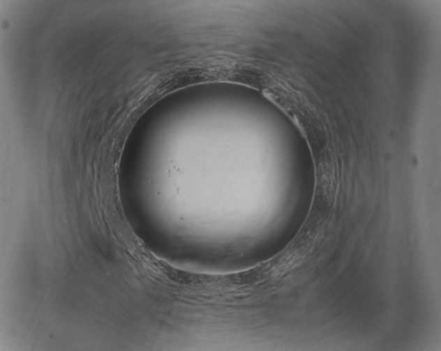 X0000064041057200601301143