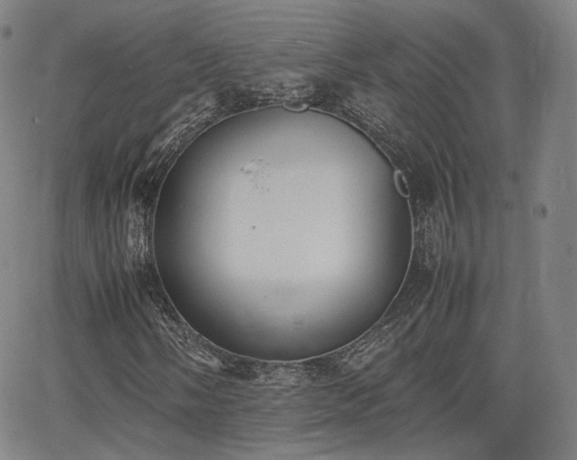 X0000064041058200601301143