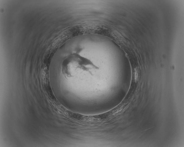 X0000064041059200601301143