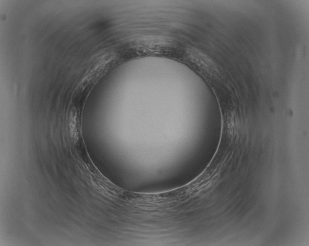 X0000064041060200601301143