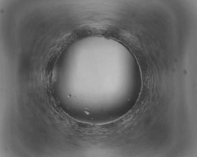 X0000064041061200601301143