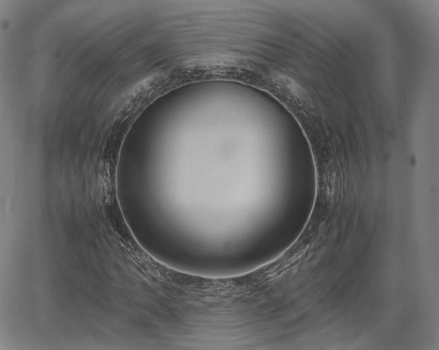 X0000064041062200601301143