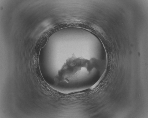 X0000064041063200601301143