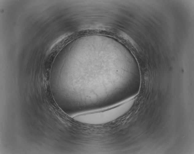 X0000064041064200601301143