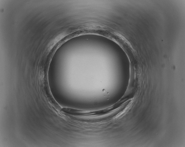 X0000064041065200601301143