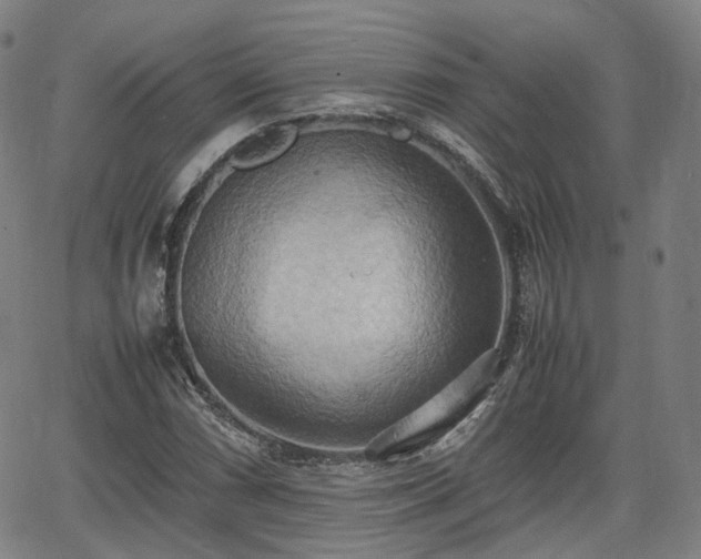 X0000064041066200601301143