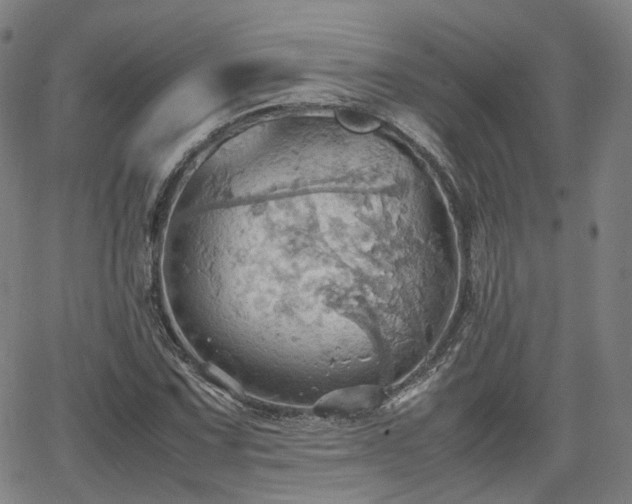 X0000064041067200601301143