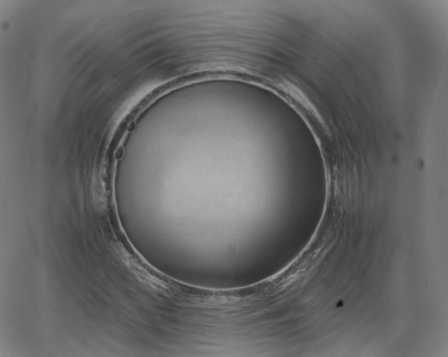 X0000064041068200601301143