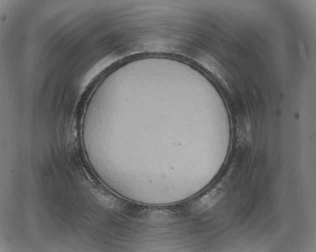 X0000064041070200601301143