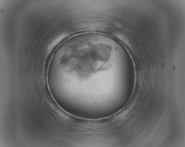 X0000064041071200601301143