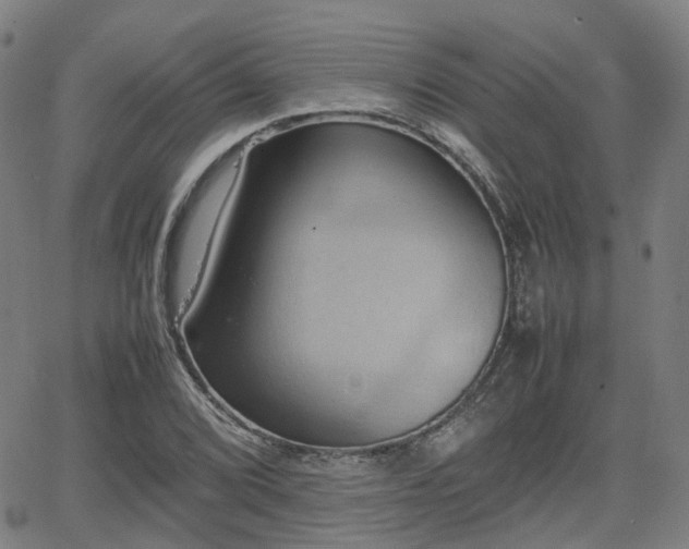 X0000064041072200601301143