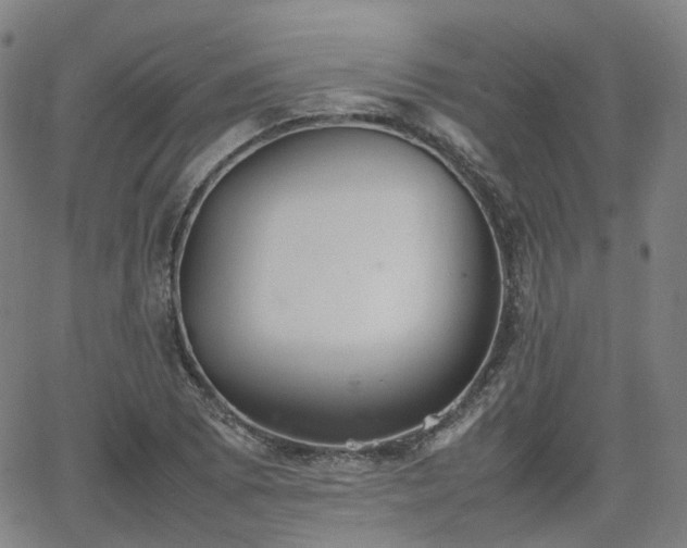 X0000064041073200601301143