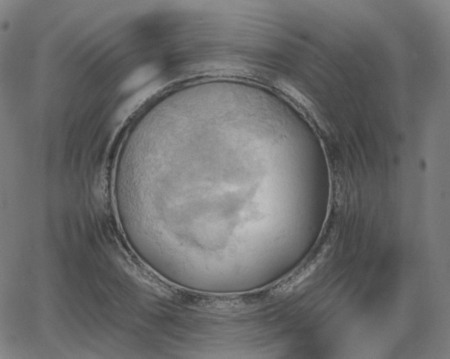 X0000064041074200601301143