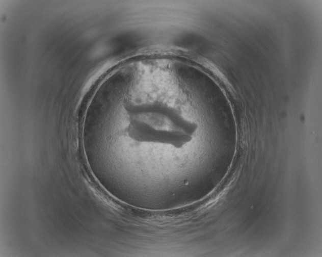 X0000064041075200601301143