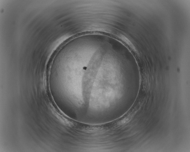 X0000064041076200601301143