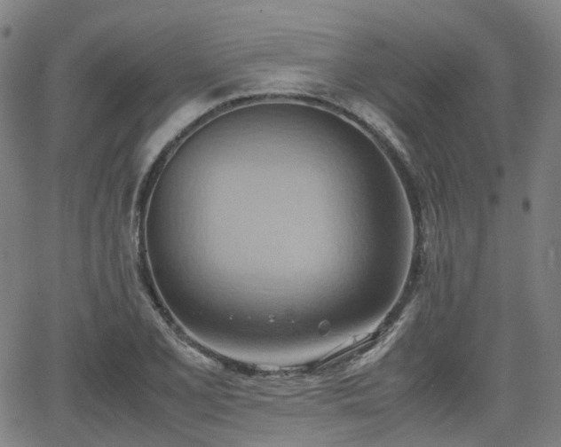 X0000064041077200601301143