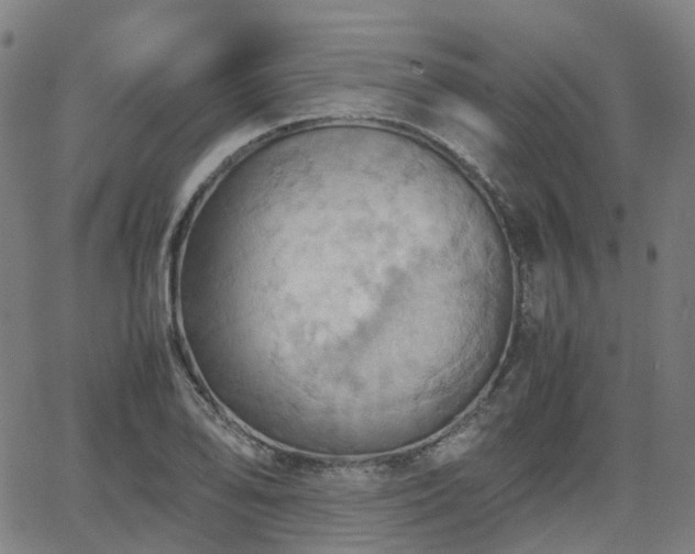 X0000064041078200601301143