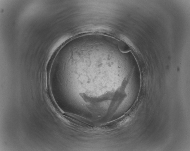 X0000064041079200601301143