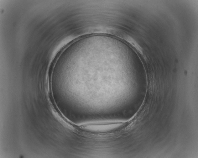 X0000064041080200601301142