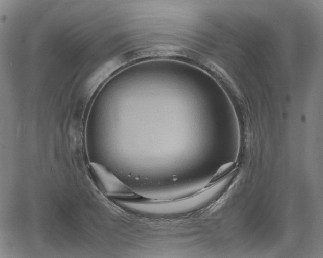 X0000064041081200601301142