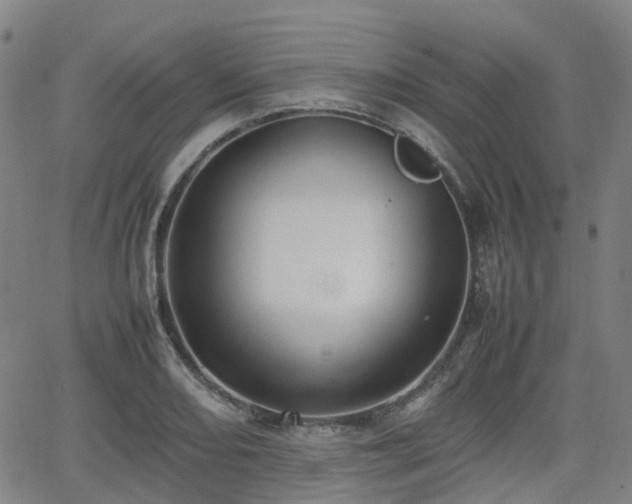 X0000064041082200601301142