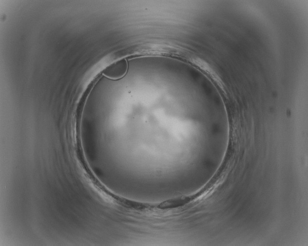 X0000064041083200601301142