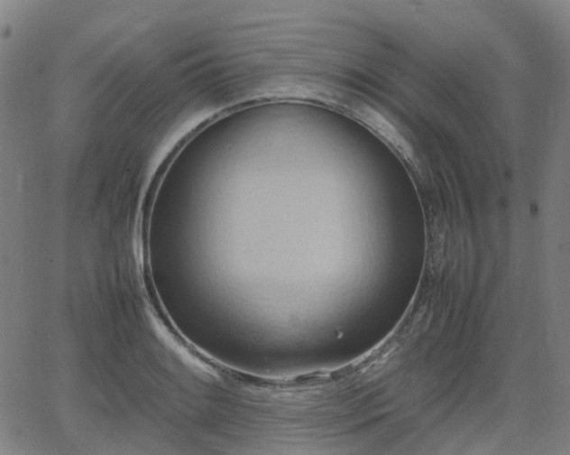 X0000064041084200601301142