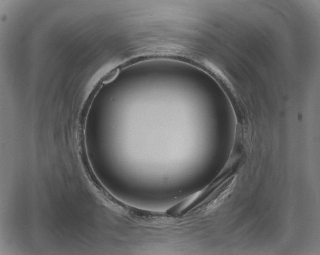 X0000064041085200601301142