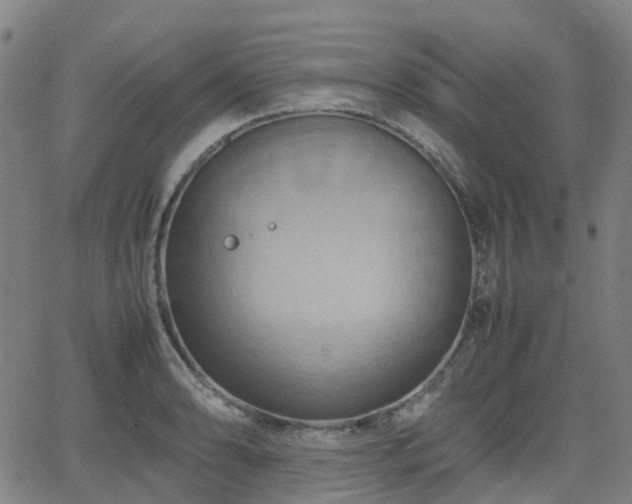 X0000064041086200601301142