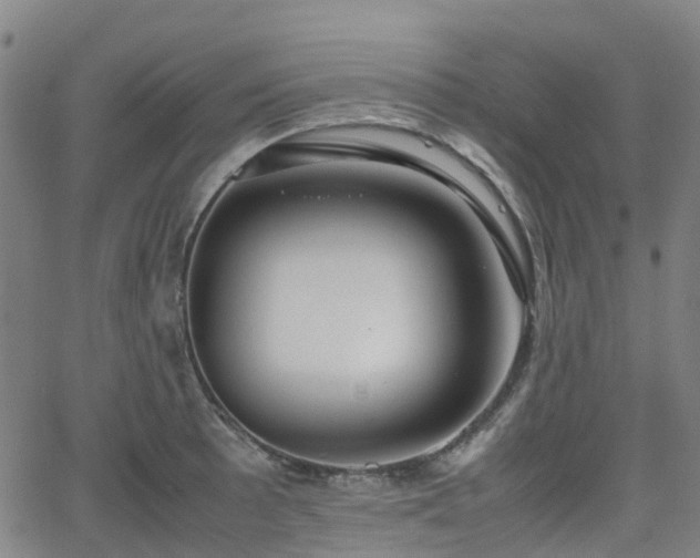 X0000064041089200601301142