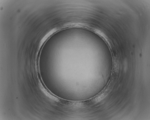 X0000064041090200601301142