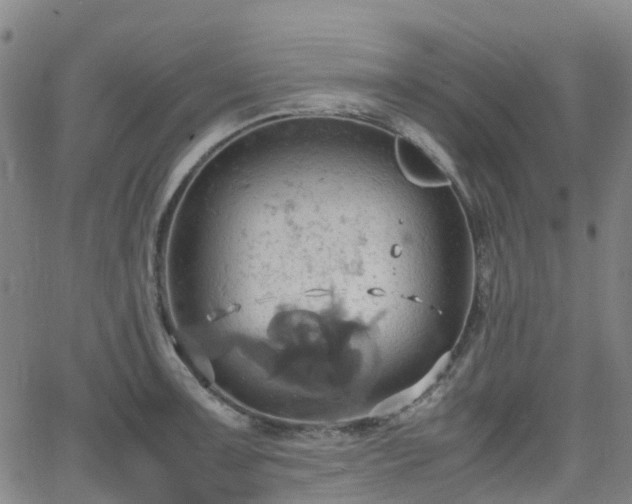 X0000064041091200601301142