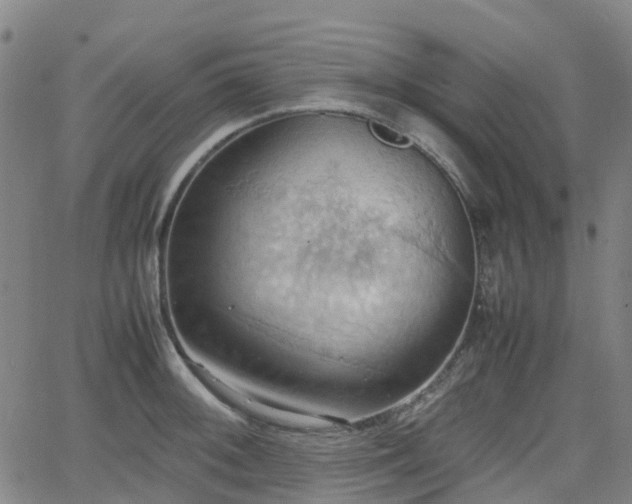 X0000064041092200601301142