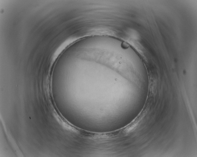 X0000064041094200601301142