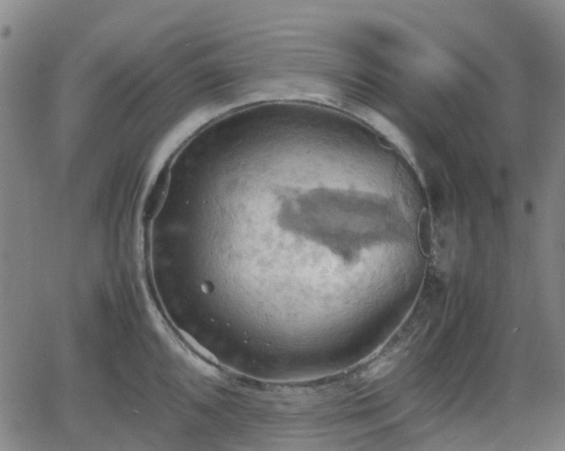 X0000064041096200601301142