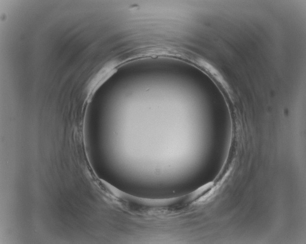 X0000064041097200601301142