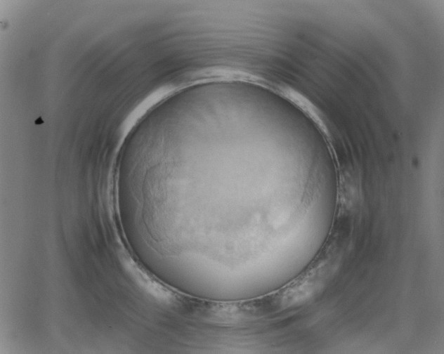 X0000064041098200601301142